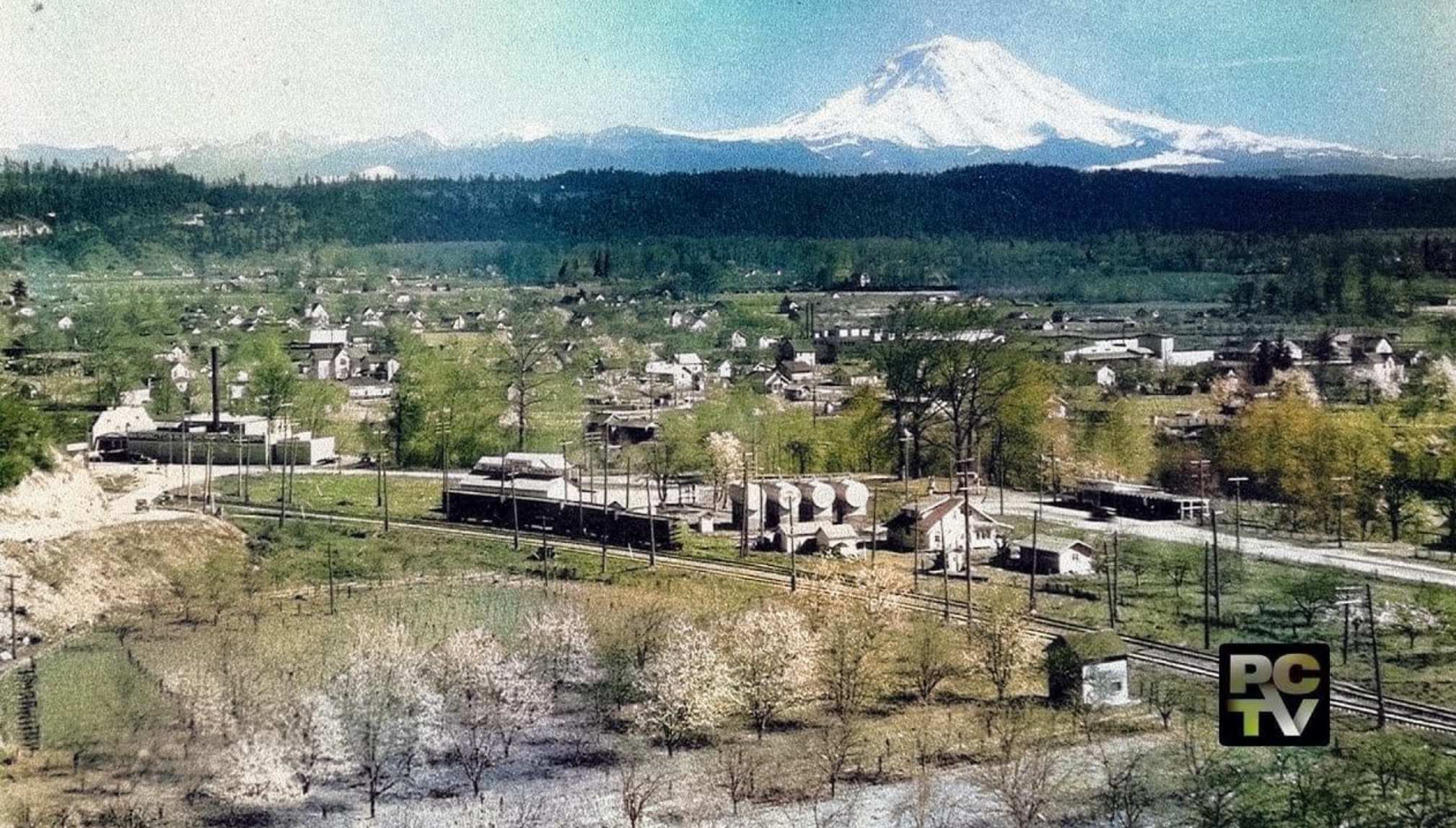 Early Snider Plant Picture Mt Rainier